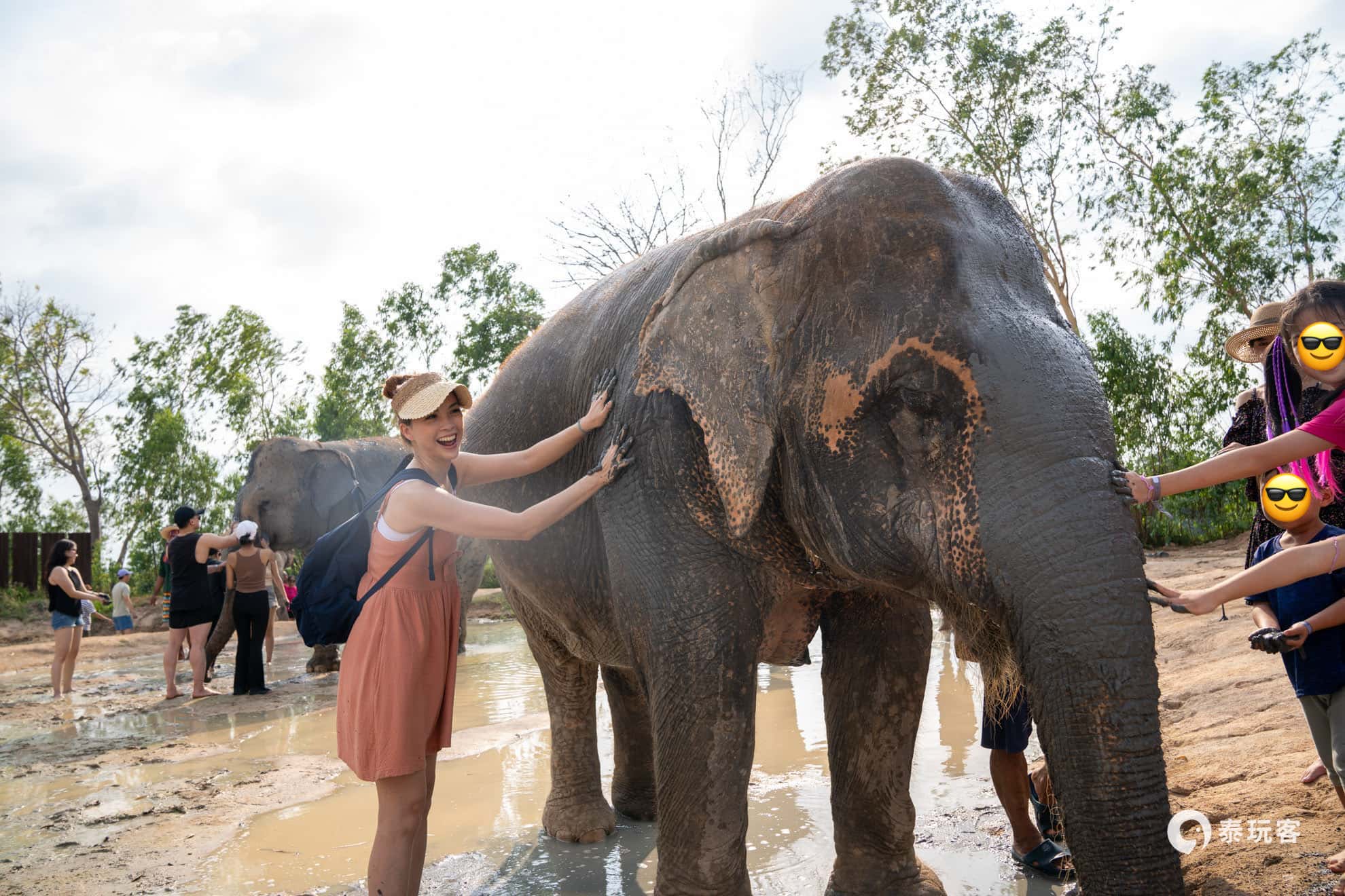 大象洗澡、餵食半日遊 / 芭達雅友善大象叢林保護營 Elephant Jungle Sanctuary Pattaya