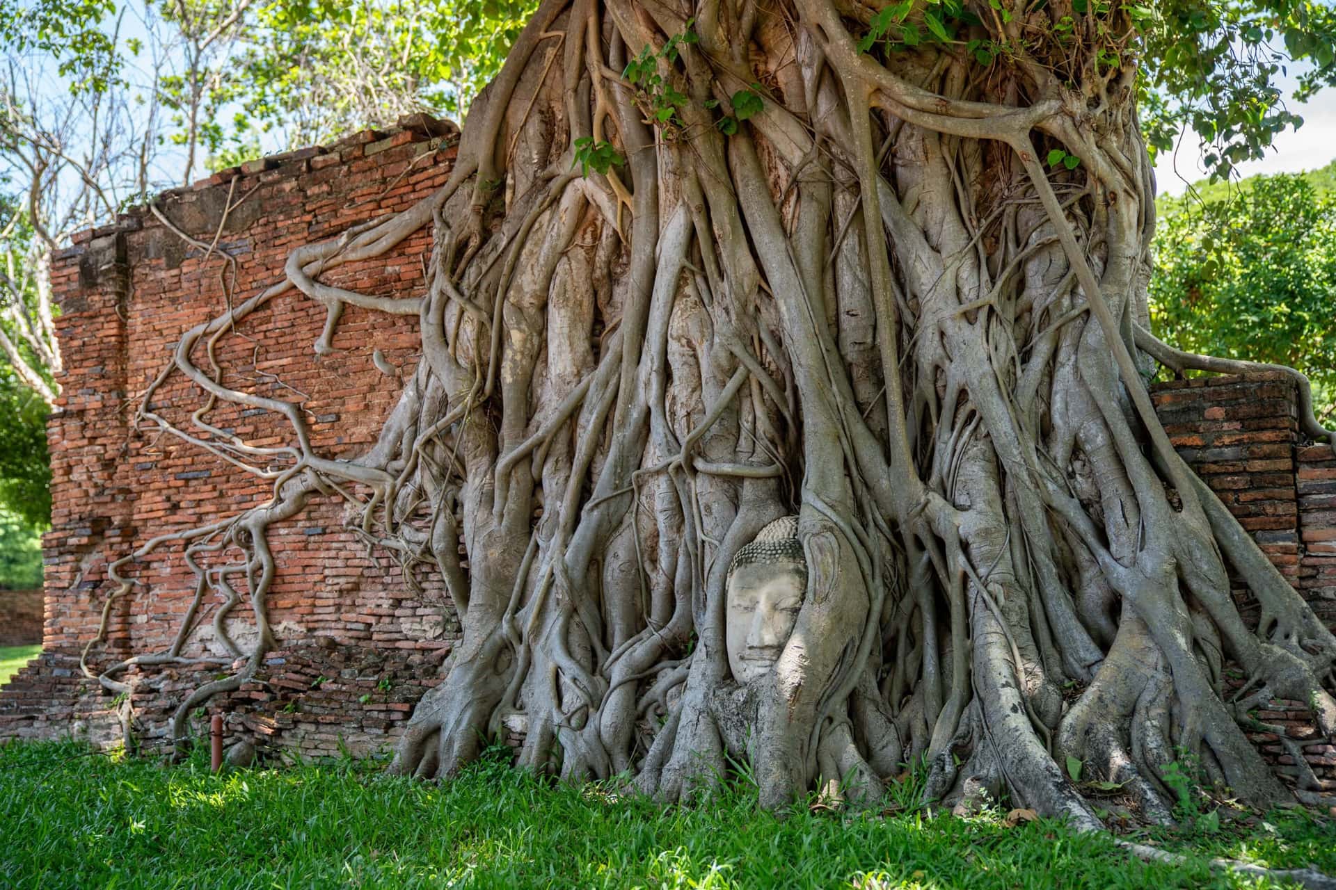 泰國靈性能量地圖：五處最具療癒與啟發力量的淨土（曼谷、清邁、大城、清萊、烏汶府）